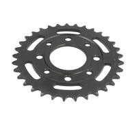 Pignone posteriore JTR 279,33