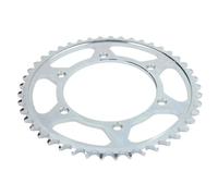 Pignone posteriore JTR 499,45