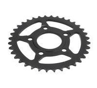 Pignone posteriore JTR 604,36