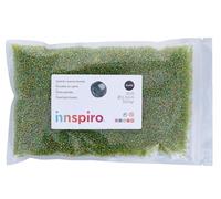 Roccia di vetro rotonda aurora boreale verde avocado 2,3 mm. 10/0 500 gr.