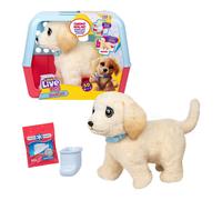 Rocco Giocattoli Peluche interattivo Ouchies Labrador LITTLE LIVE PETS 20486274