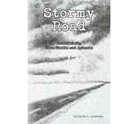 Rochelle M Anderson Stormy Road (Tascabile)