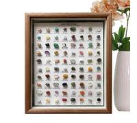 Rock Collection, kit di identificazione minerale, set, display educativo, cristalli grezzi, cornice in legno, 80 pezzi, decorazione per la casa, ornamenti in pietra, gemme grezze, collezione classica