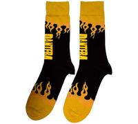 Rock Off officially licensed products Pantera Flame Band Logo Ankle Calzini Size One Size