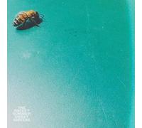 Rocket Summer - Sweet Shivers