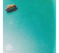 Rocket Summer - Sweet Shivers