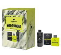 Rockford wild thunder