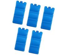 rockible 5 Pezzi Blocchi di Ghiaccio Ispessiti Antiscivolo Borsa Frigo Portatile Blocco Scatola di Raffreddamento per Viaggio Escursionismo Picni, Blu