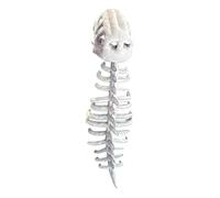 rockible Set di costumi da scheletro di dinosauro, maschera divertente con spina dorsale scheletrica per Natale e Halloween