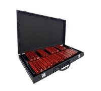 rockible Set Xilofono in Legno - Strumento di Apprendimento Musicale per Bambini, Imitazione con custodia