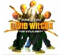 Rockin' The Boogie - David Wilcox (Audio cd)