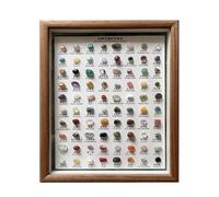 Rocks and Minerals - 80 X Portable Raw Collection | Home Decoration Classic Stone Ornaments, Rough Crystal Set In Wood Frame for Educational Display, Geology Specimen Science Teacher Gift