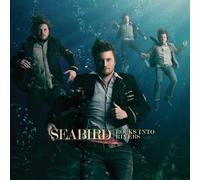 Rocks Into Rivers by Seabird (2010-01-12)