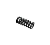 RockShox Molla ricambio 450lb/151mm per Ammortizzatore Metrico Nero