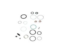 Rockshox Service Basic Kit For Air Can Vivid Air 11-13 Multicolor