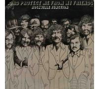 ROCKVILLE JUNCTION - lord protect me from my friends LP
