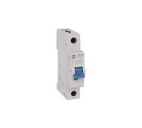 Rockwell Automation 1492-SPM1C080, Interruttore magnetotermico 1P Tipo C