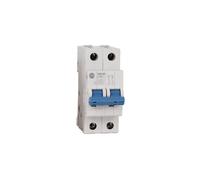 Rockwell Automation 1492-SPM2C130, Interruttore magnetotermico 2P Tipo C