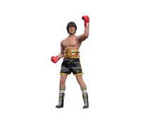 Rocky 2 Action Figure PVC Boxer Normal Version 1/6 30 C Star Ace