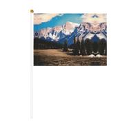 Rocky Mountains Bandiera a manovella a doppia faccia 14 x 20,8 cm, utilizzata per la decorazione di feste di festa, concorsi