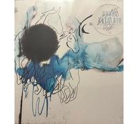 Rocky Votolato - Wild Roots