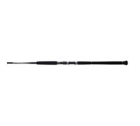 Rod Aspire Spinning Sea Trout 3,05m 10'0" 7-35g 2pc