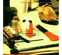 Rodach,Michael & Moss,David - Fragmentary Blues