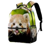 RODAILYCAY Rabbit Ride a Bicycle Travel Laptop Backpack, High School Backpack, Large Bookbag, Cute Backpack for Men Women, Multicolore 9, 29.4x20x40cm/11.5x8x16 in, Casual