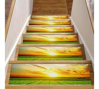 RODAILYCAY Tappeto antiscivolo per scale, 15 pezzi, con prato soleggiato, per gradini in legno per interni, gradini per scale, retro in TPE