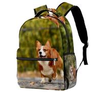 RODAILYCAY Zaino da viaggio per computer portatile con cane Beagle marrone che guarda in alto, zaino grande per la scuola superiore, zaino carino per uomo e donna, Multicolore 7, 29.4x20x40cm