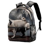 RODAILYCAY Zaino per la scuola con topolino e fiore, zaino per bambini, impermeabile, casual, per libri, computer portatile, per uomo e donna, Multicolore 5., 29.4x20x40cm/11.5x8x16 in, Casual