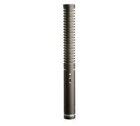 Rode Ntg1 Studio Microphonewired Black - Microphones (Studio Microphone, -36 Db, 20 - 20000 Hz, 50 Ω,wired, 22 Mm)