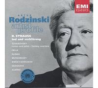 Rodzinski,Artur - Artur Rodzinski-Artist Profile