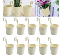 Roellgs Vaso da fiori in metallo da appendere per interni, 10 pezzi, secchi rotondi in ferro con ganci staccabili e fori di drenaggio, piccola fioriera per erbe aromatiche da appendere, per ringhiere,