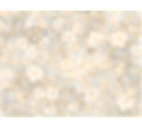 Rösa Brut Alta Langa DOCG Spumante Brut Metodo Classico 1XMagnum 1,5 litri