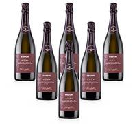 Rösa Brut Alta Langa DOCG Spumante Brut Metodo Classico (6 bottiglie 75 cl.)