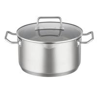 RÖSLE EXPERTISO - Pentola universale di alta qualità in acciaio inox 18/10, 24 cm, coperchio in vetro, scala interna, adatta a induzione, lavabile in lavastoviglie, colore: Argento