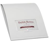 Rössler Papier 2002831170 - Carta Royal - Blocco lettera DIN A4, 40 fogli, grigio ghiaccio a coste