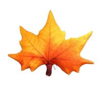 ROEUIPG Cuscino a foglia da tiro a forma di succulenta for divano interno Divano Soggiorno Decorazioni for la casa Amanti delle piante del giardino(Orange)