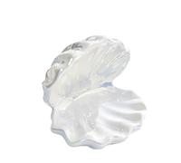 ROEUIPG Scatola portagioie in ceramica, contenitore for gioielli in, vassoio a forma di conchiglia, mini organizer for, decorazione for feste e casa(White)