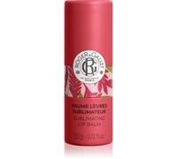 Roger&Gallet - Balsamo Labbra Sublimatore Zenzero Rosso - Cura Nutriente & Brillante Naturale - Sapore Fico Gourmet - 98% Naturale - Vegano - Made in France - 3,5g
