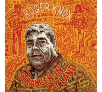 Roger Knox & the Pine Valley Cosmonauts Stranger in My Land (Vinyl LP) 12" Album