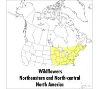 Roger Tory Peterson Peterson Field Guide To Wildflowers, A (Tascabile)