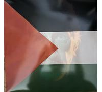 Roger Waters Concert For Palestine One Side Lp