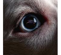 ROGER WATERS - The Dark Side Of The Moon. Redux (2023) CD