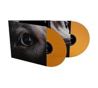 Roger Waters The Dark Side of the Moon (Vinyl LP)