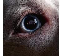 Roger Waters - The Dark Side Of The Moon Redux