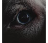 Roger Waters - The Dark Side Of The Moon Redux - Cd (digipack)