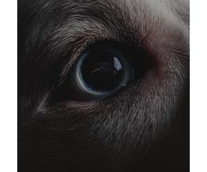 Roger Waters - The Dark Side Of The Moon Redux - Cd (digipack)