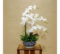 ROHCGHC Fiori Artificiali, Decor Fiori Artificiali con Vaso Fiore di Orchidea Artificiale Orchidee Phalaenopsis Finte Pianta in, Finti in PU Bonsai Decorazione Ornamento F, Rosa(White)